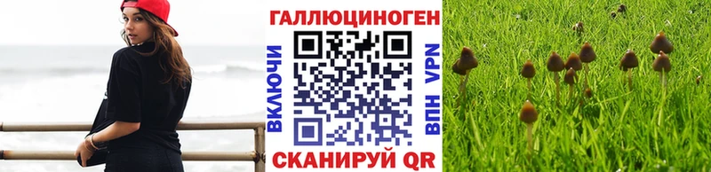 Галлюциногенные грибы MAGIC MUSHROOMS  Спас-Клепики 